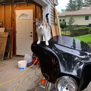 Meet your Posher, Michael